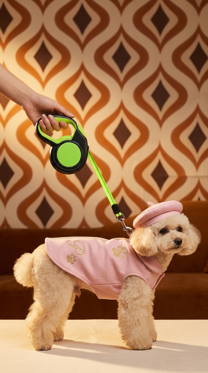 Pipuws Paws™ NightSafe Reflective Leash